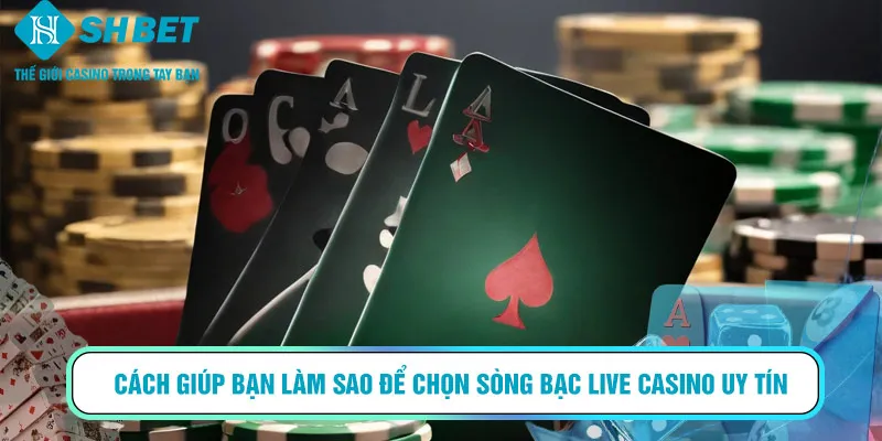 Tìm hiểu sơ lược về sảnh live Casino ở SHBET